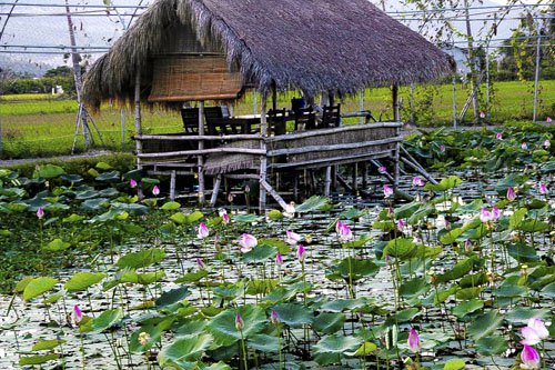 Đây là nơi khách có thể nghỉ ngơi, ăn uống với các món dân dã.